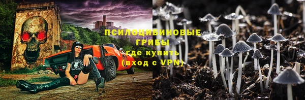 бошки Алексин