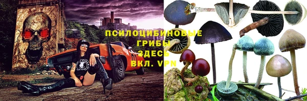 дживик Алзамай