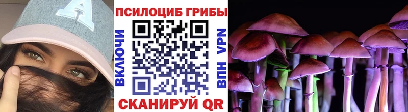купить наркоту Инсар Галлюциногенные грибы Cubensis